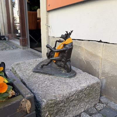 Witalis – photo 2