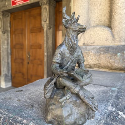 Stefanek – photo 2