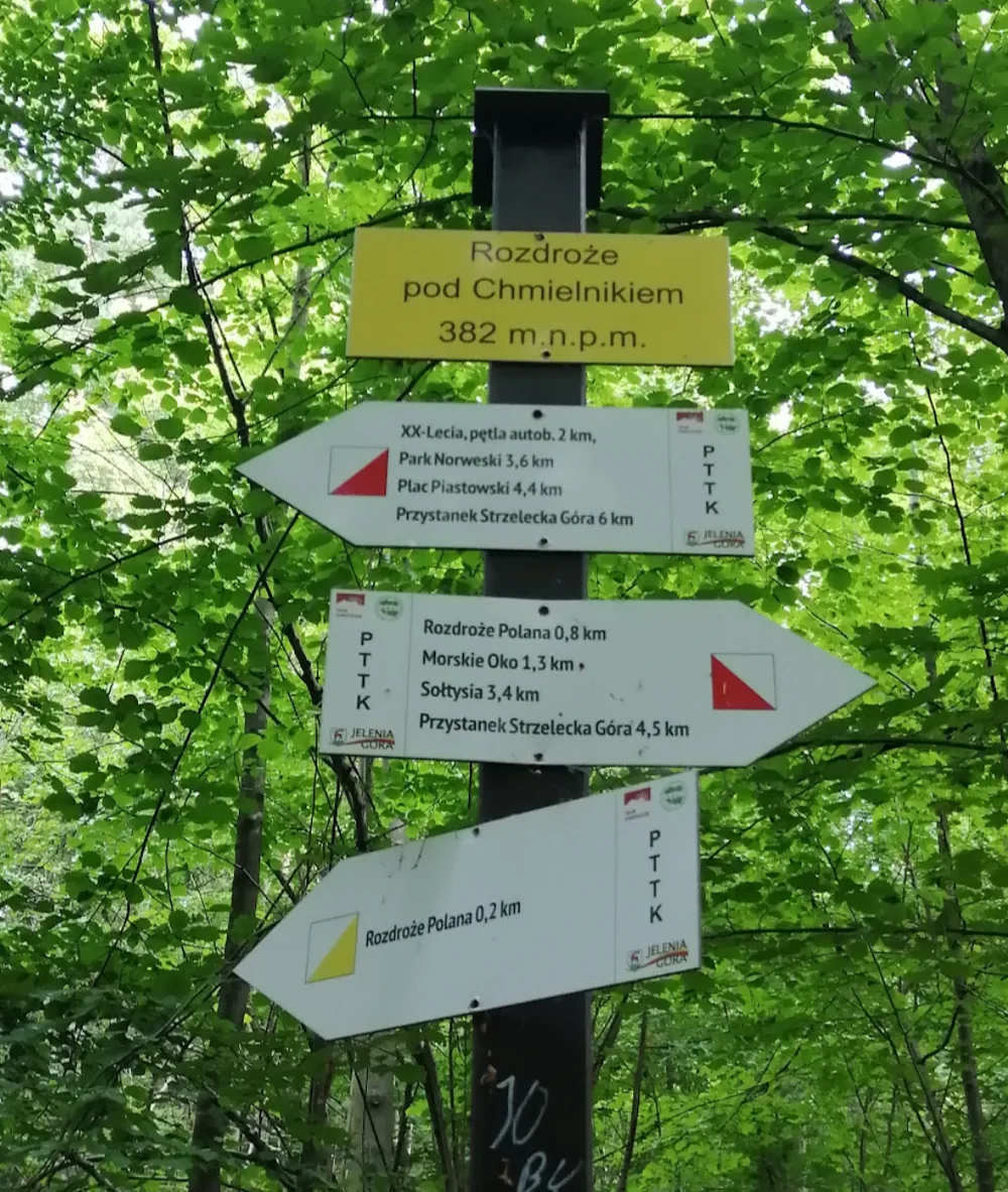 Drogowskaz PTTK na Rozdrożu pod Chmielnikiem, 382 m n.p.m., z kierunkami do Parku Norweskiego, Placu Piastowskiego, Morskiego Oka i Sołtysiej