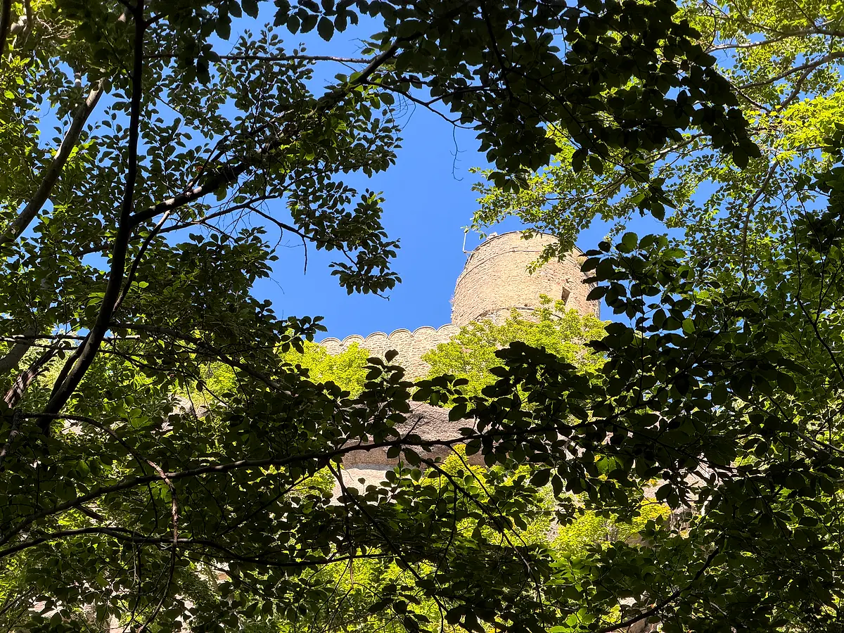 The tower of Chojnik Castle seen from below, from Piekielna Dolina: the cylindrical keep and the wall above a rock face, beech branches framing the view